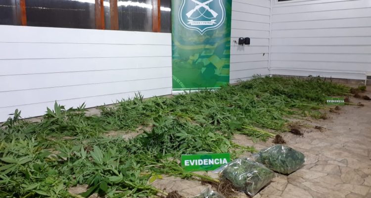 Cedidas por Carabineros
