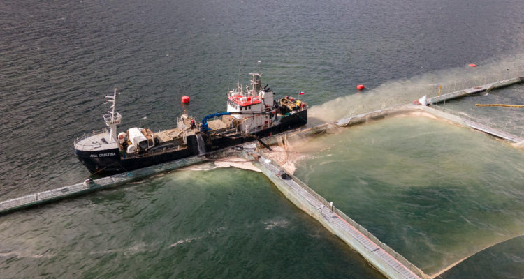 Retiro de salmones muertos desde los centros de cultivo en fiordo Comau. Foto: Alvaro Vidal