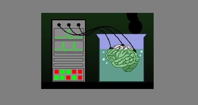 procomun.educalab.es (c)