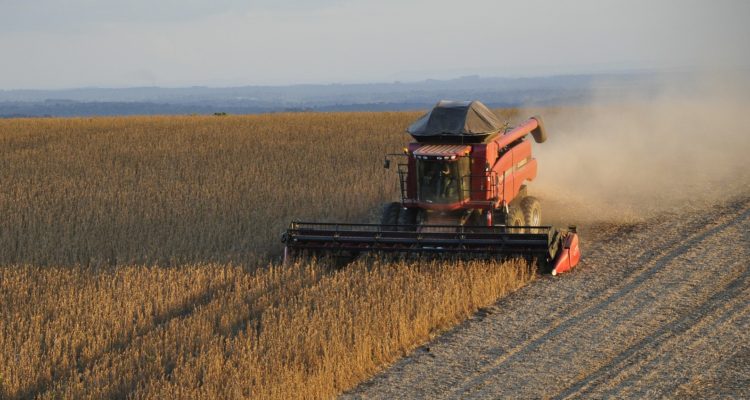 CONTEXTO | Charles Echer | Pixabay 