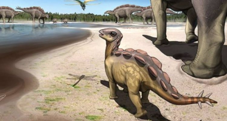 Recreación del estegosaurio del tamaño de un gato – UNIVERSIDAD DE QUEENSLAND