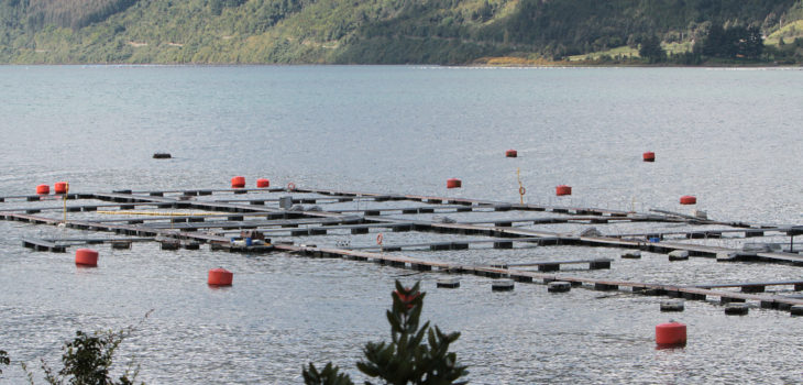 CONTEXTO | Agencia UNO