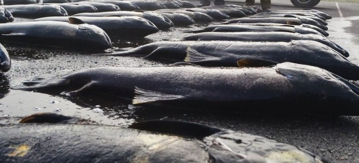 CONTEXTO| Agencia UNO