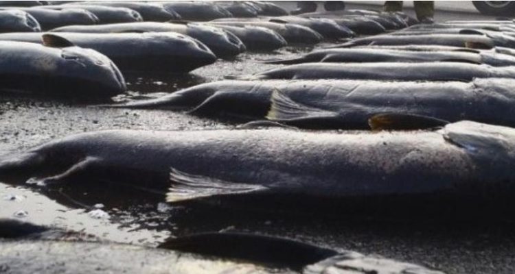 CONTEXTO| Agencia UNO