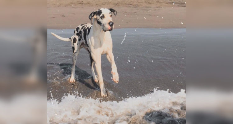 ayudameaviajar | Instagram