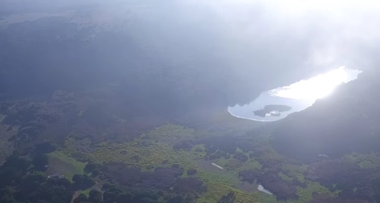 Captura de video | Municipalidad de Hualpén