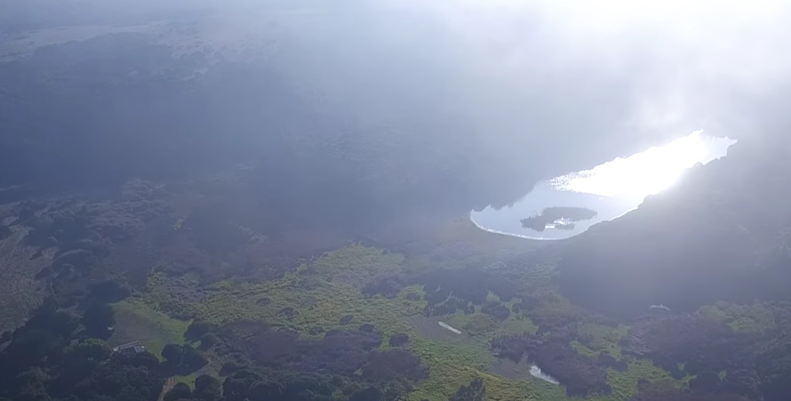 Captura de video | Municipalidad de Hualpén