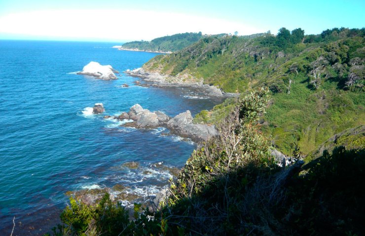 www.prz.cl