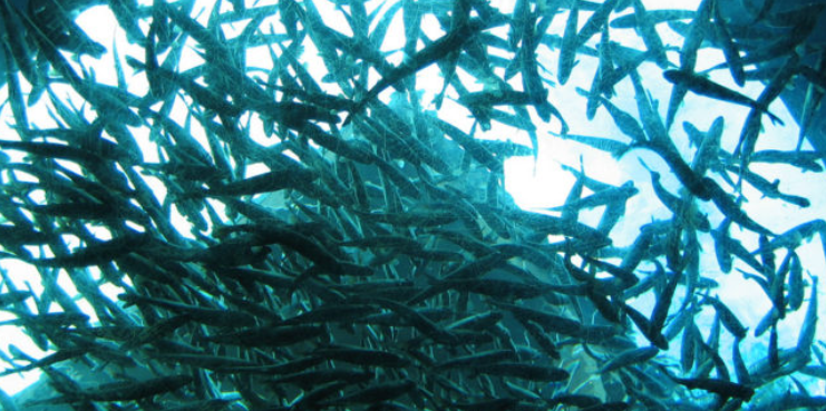 CONTEXTO | Liz Lawley (CC)