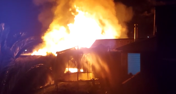 Cedido | RBB Concepción