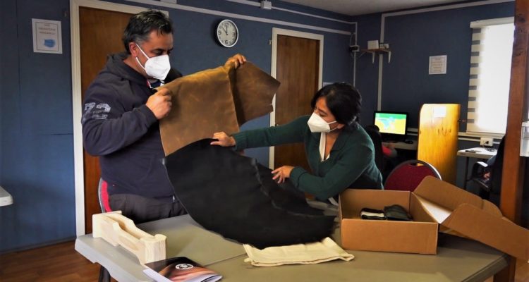 Parque Eólico Aurora