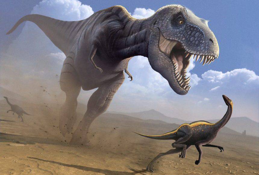 Representación gráfica de un Tiranosaurio Rex | eluniverso.com
