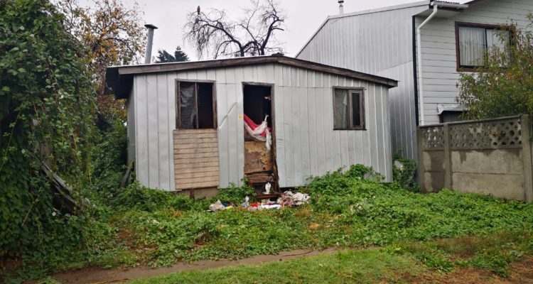 Cristian Cerna | RBB