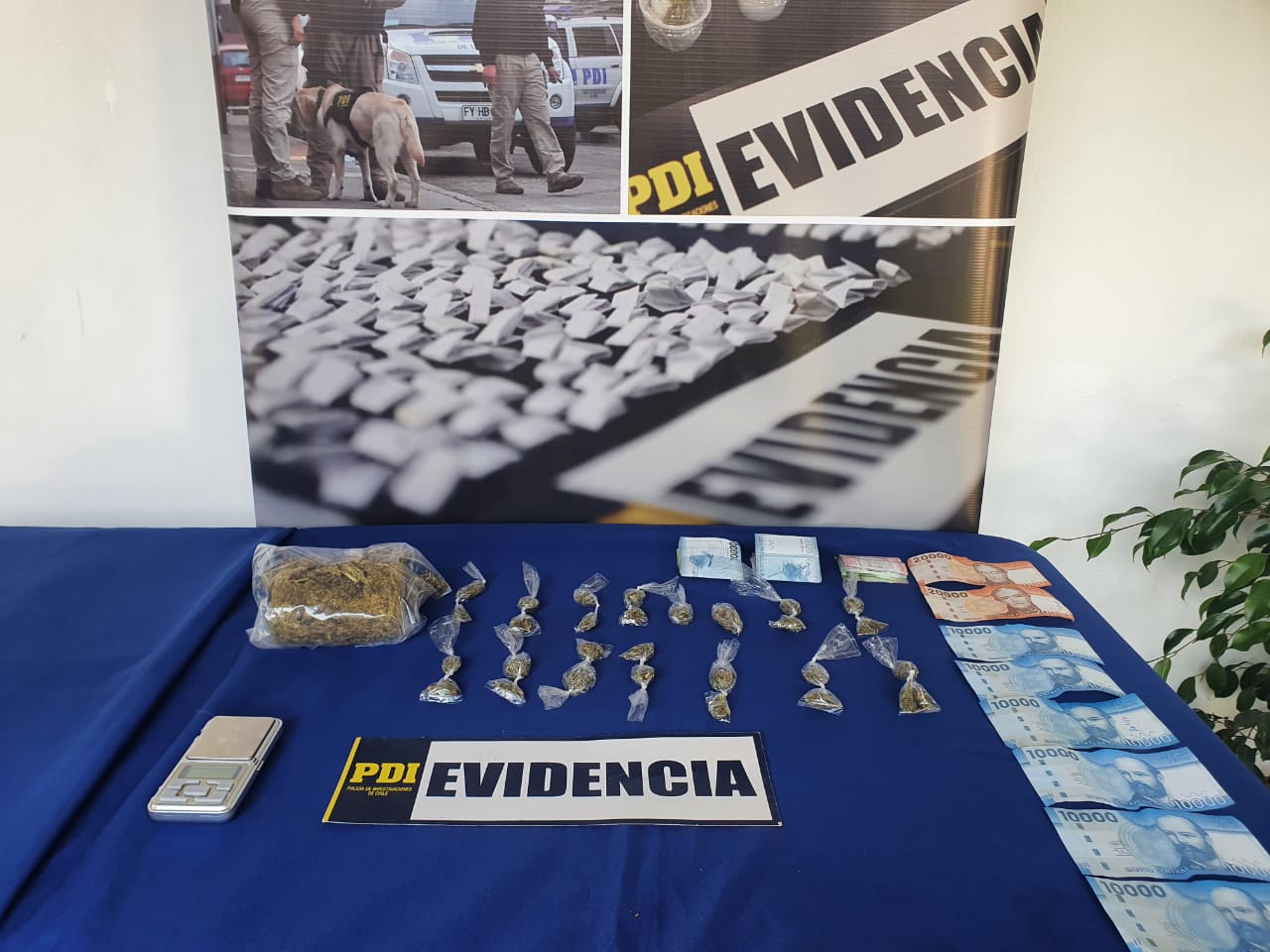 PDI