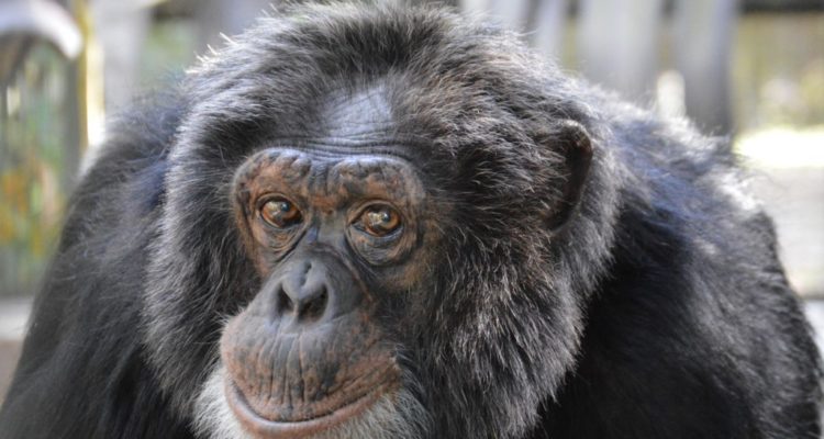 Agence France Presse 