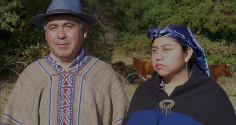 Carmen Caifil y Victorino Antilef Constituyente | Faceboook