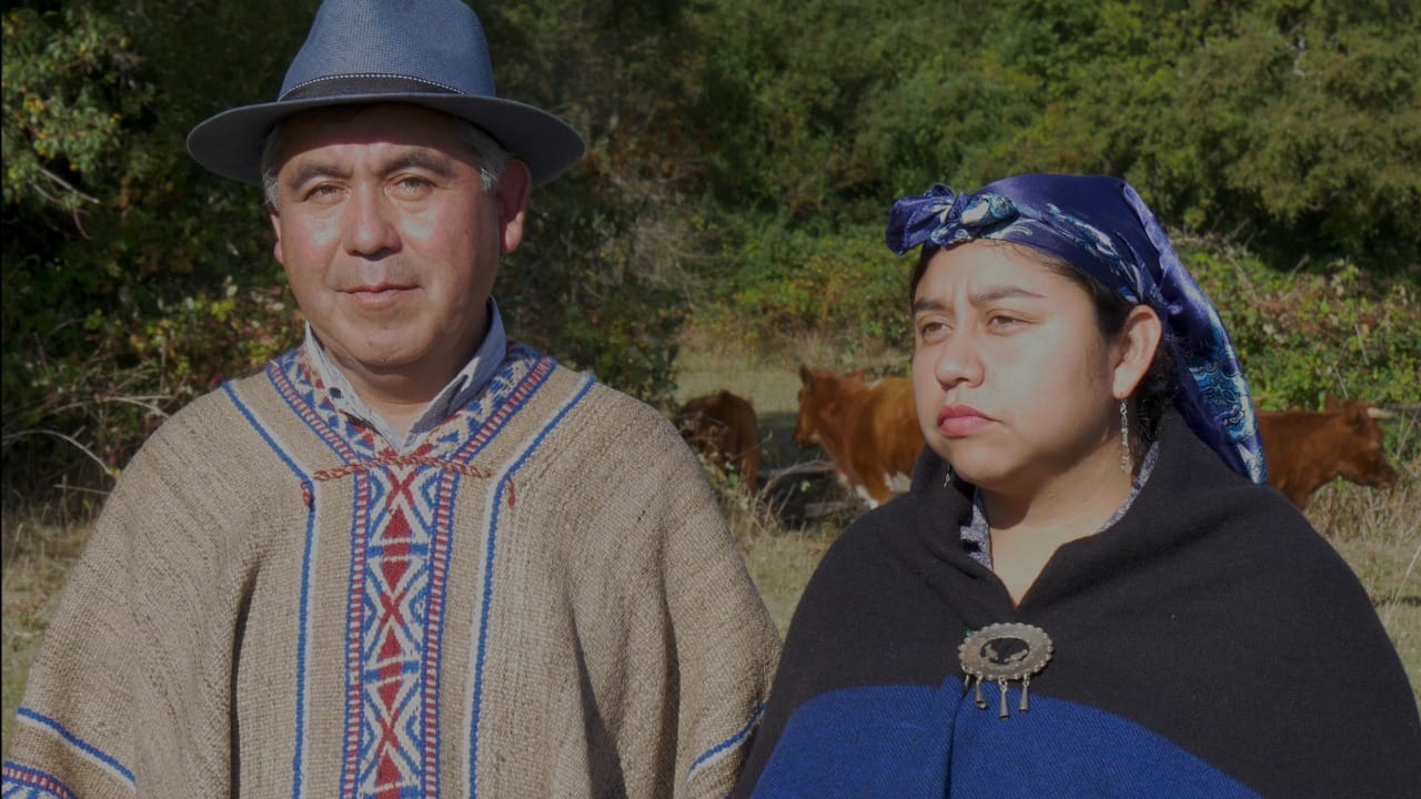 Carmen Caifil y Victorino Antilef Constituyente | Faceboook