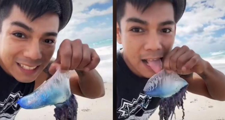 Captura desde TikTok