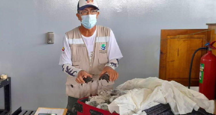 Ministerio del Ambiente y Agua de Ecuador