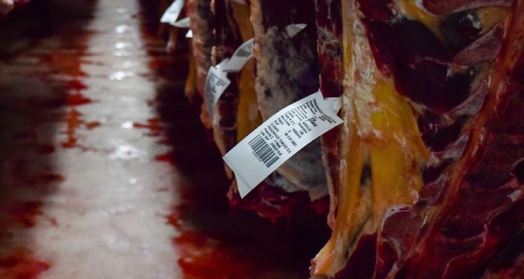 ARCHIVO | Rocío Cuminao | Agencia UNO