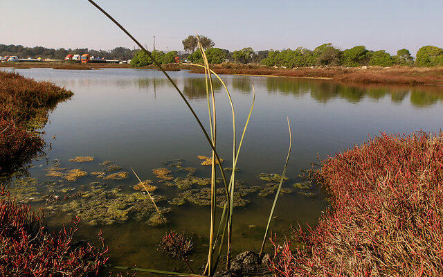 CONTEXTO| Agencia UNO