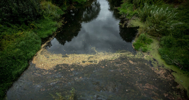 Archivo | Agencia UNO