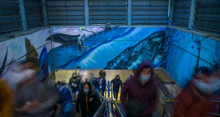 ARCHIVO | Agencia UNO