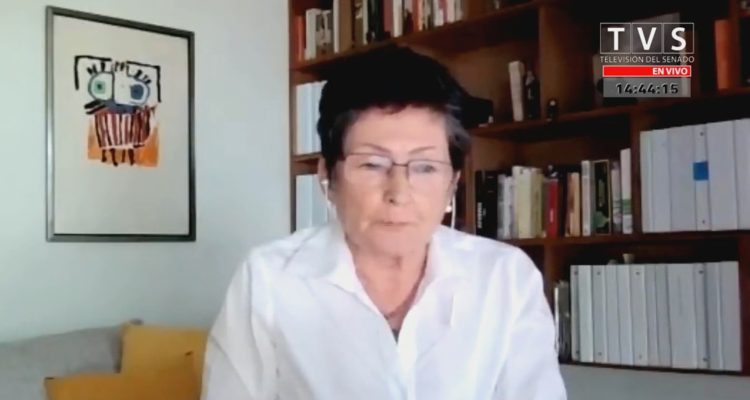 Alejandra Cox, presidenta de la Asociación de AFP, en una transmisión del Senado.