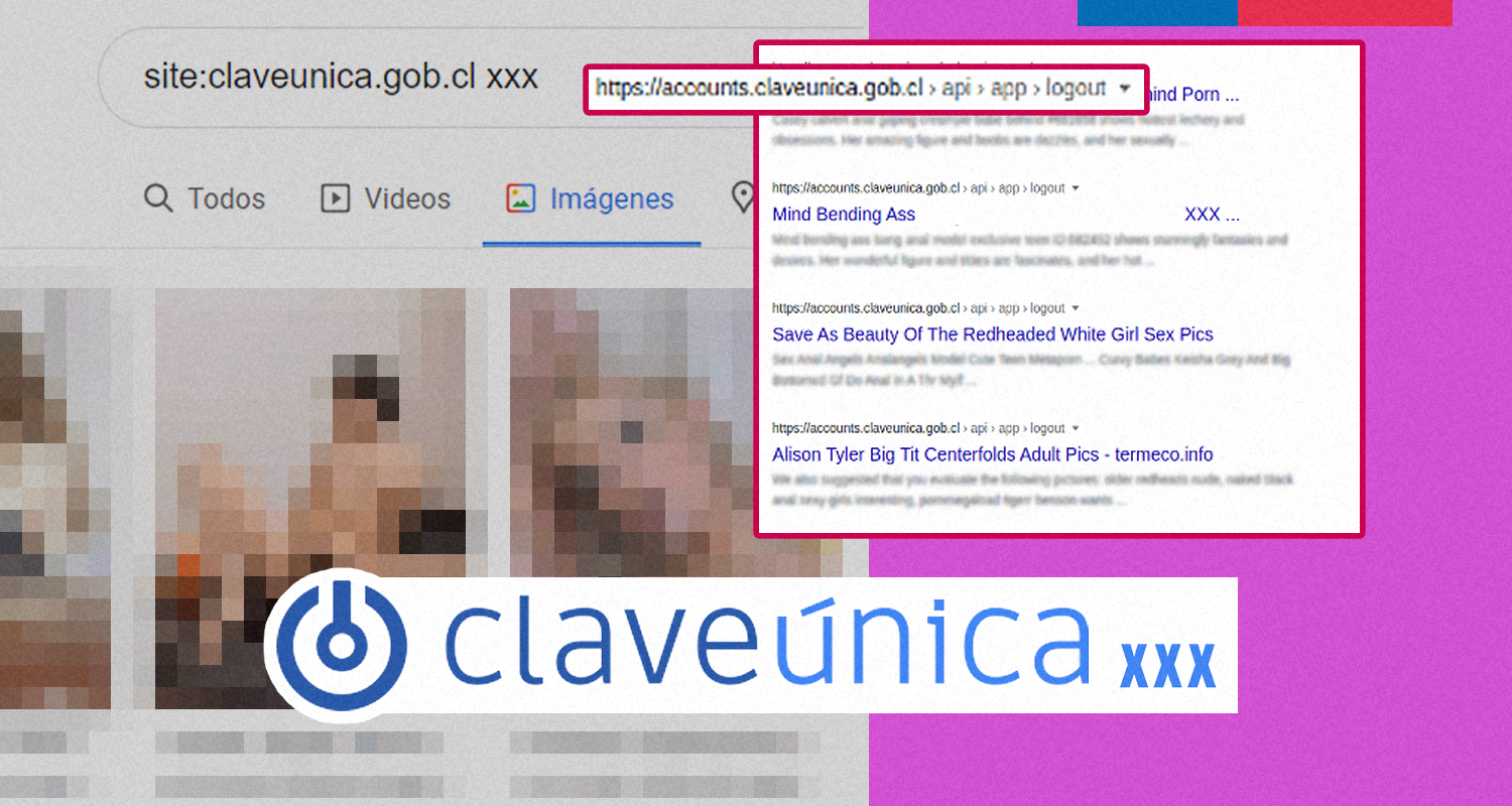 Hackers del porno: vulneran dominio de Clave Única para promocionar páginas  sexuales | Nacional | BioBioChile