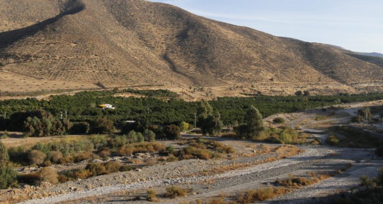 Petorca, región de Valparaíso. Yvo Salinas | Agencia UNBO