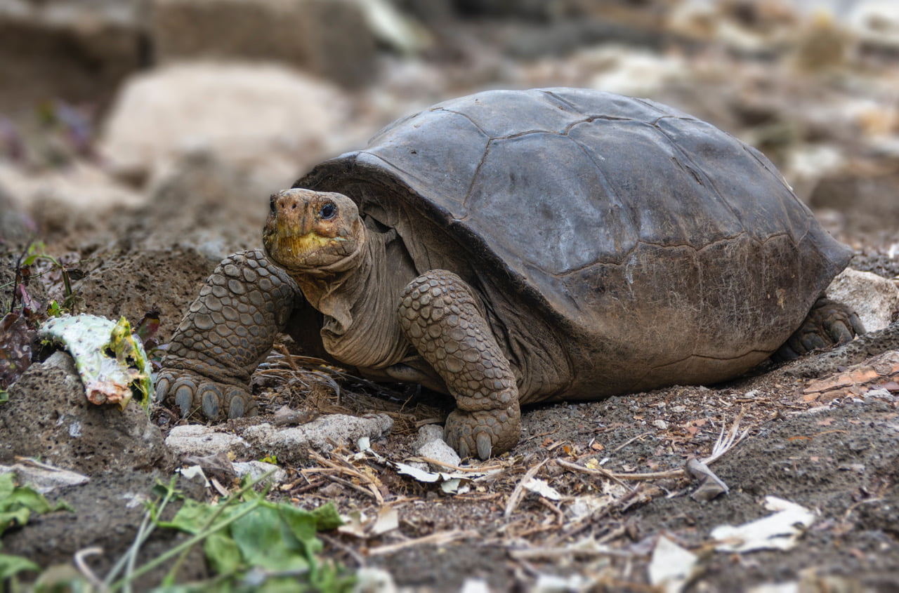 Parque Galápagos