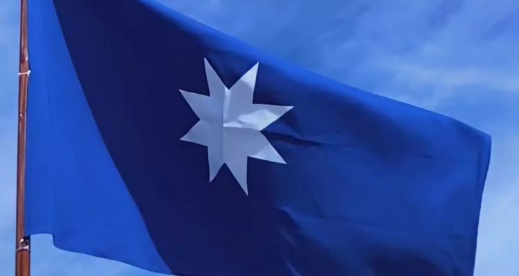 Captura de video | Municipalidad de Temuco