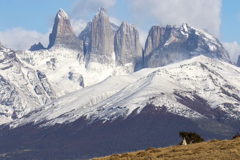 Patagonia chilena: estancia apuesta por la convivencia entre pumas, perros protectores y ganado