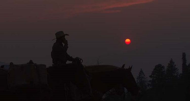 Gaucho Americano, Nicolás Molina (c)