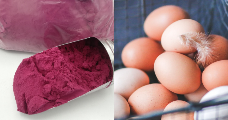 Indap | Pexels  (cc0)