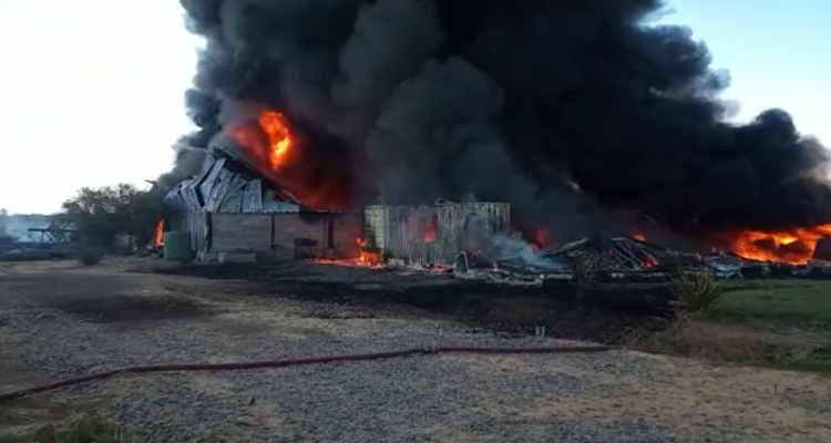 Christian Borcoski | RBB