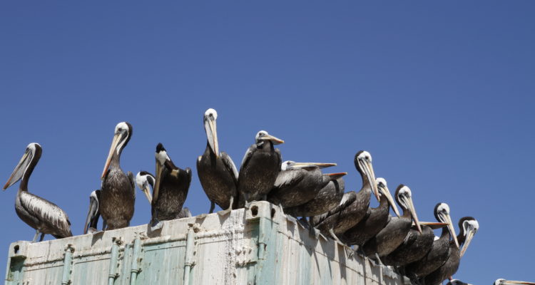 Ejercicio de escucha N°3 | Foto: Javiera Ovalle