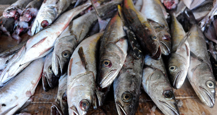 CONTEXTO| Agencia UNO