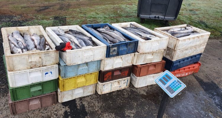 @Sernapesca | Twitter