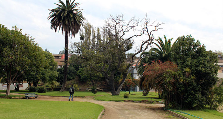 Parque Pumpin | Parquepumpin.cl

