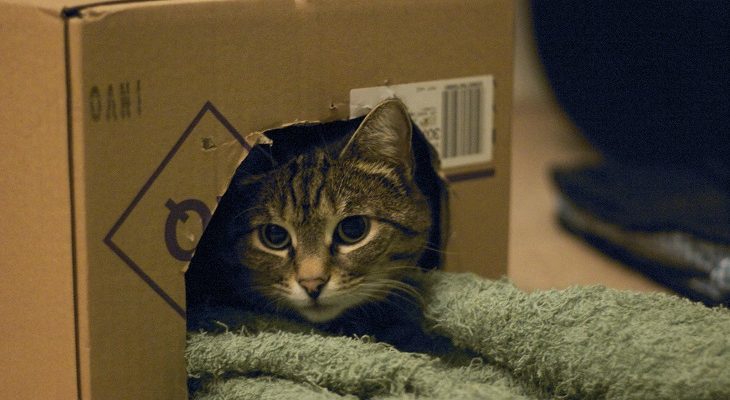 Alidair | Flickr (CC)