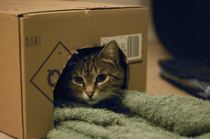 Alidair | Flickr (CC)