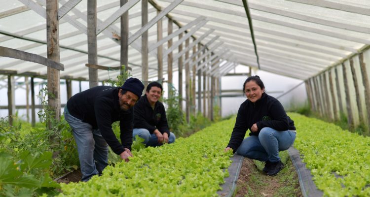 Cooperativa familiar Ñuque Mapu | Indap