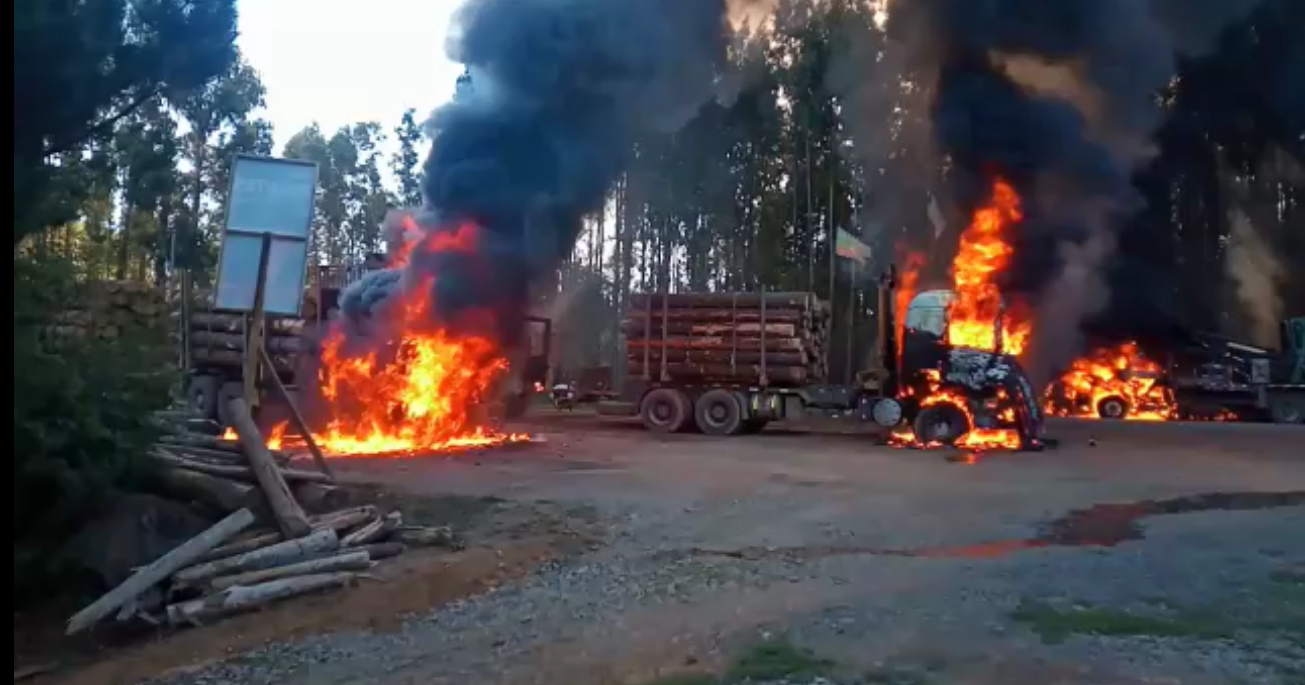 Captura de video