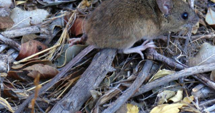 Archivo | Agencia UNO