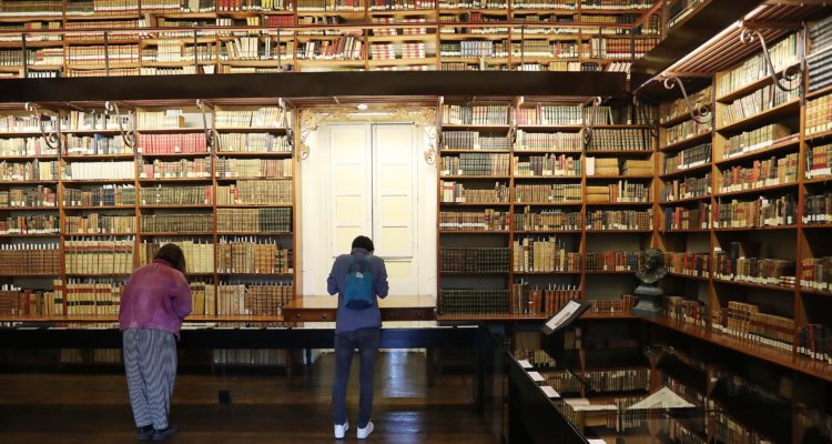 Recoleta Domínica 
| Mincap