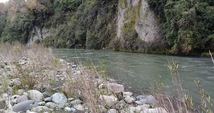 Río Pillanleufu | Corretajes Oettinger