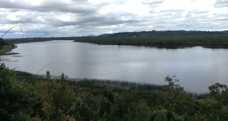 ARCHIVO | Ppn87 (CC)