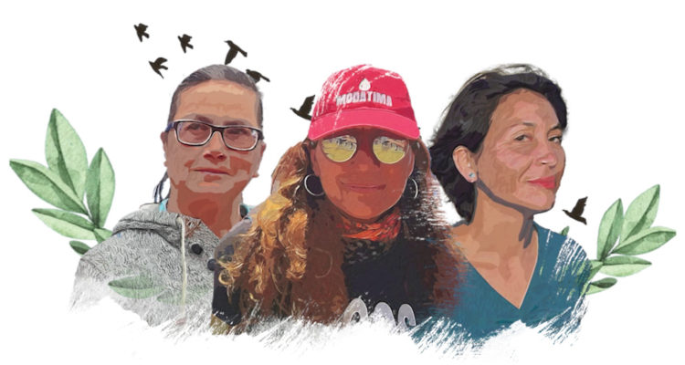 Amnistía Chile | Facebook