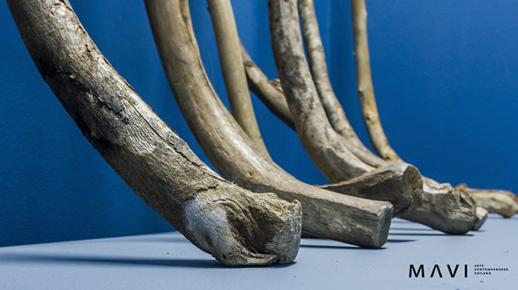 Wenu Pelon | Foto: Freddy Ibarra